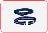 Polypropylene  Web  Belt