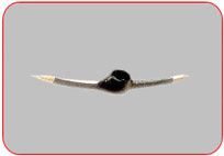 Pick Oval  Eye  Double  Point